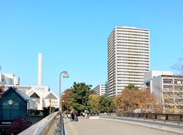 光が丘の街並み